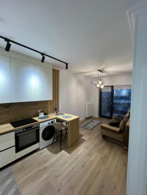 LC APARTMENTS IAȘI Silk